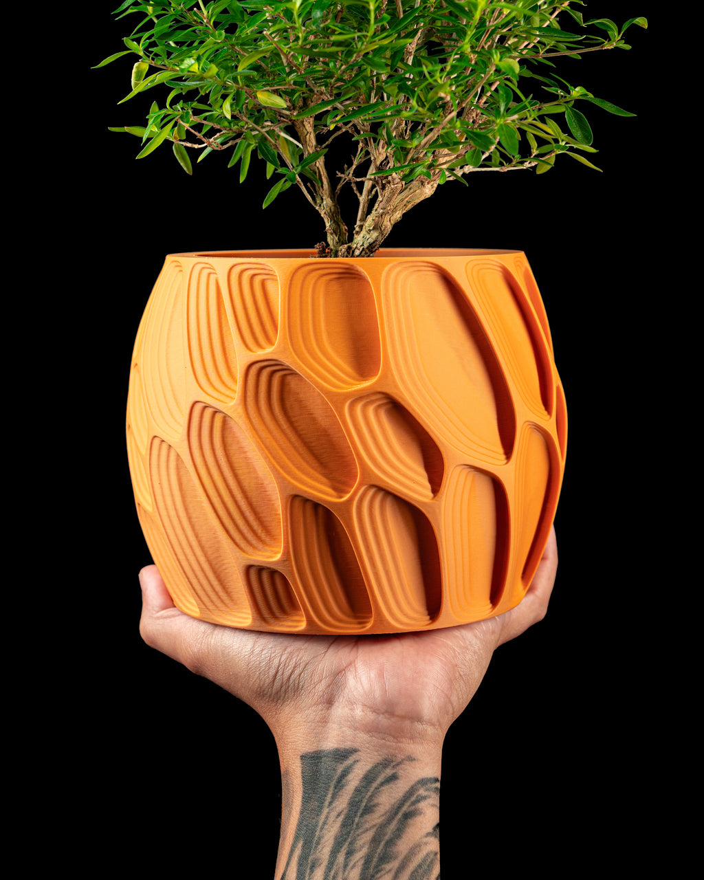 Ringo Planter